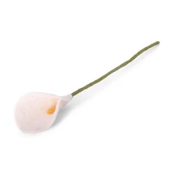 Arum