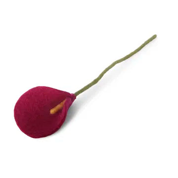 Arum