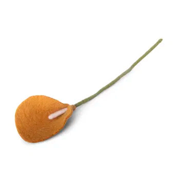 Arum