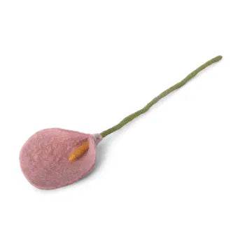 Arum