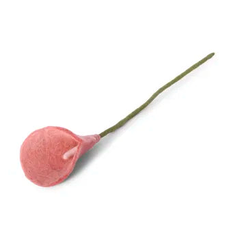 Arum