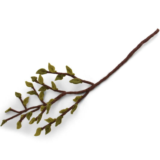 Branche petites feuilles