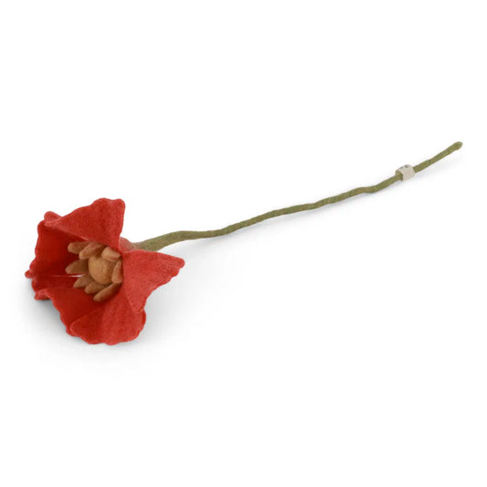 Coquelicot