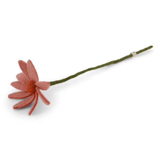 Cosmos