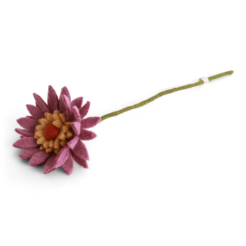 Gerberas Gry & Sif