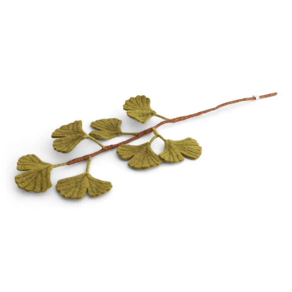 Branche ginkgo biloba Gry & Sif