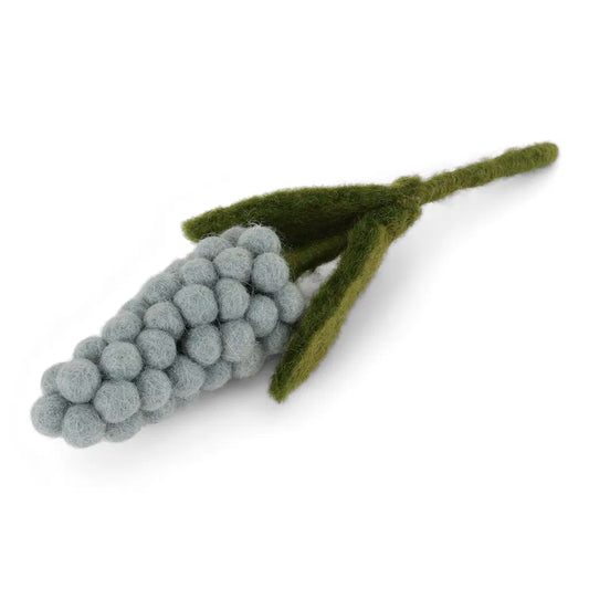 Mini jacinthe