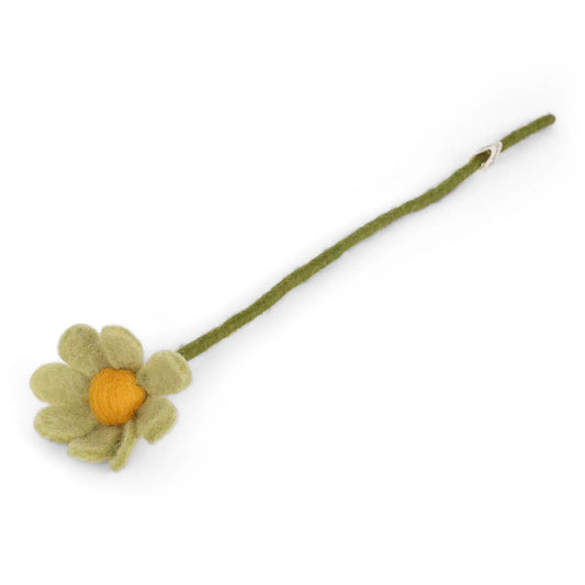 Petite marguerite