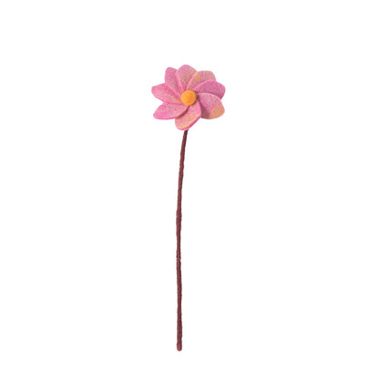 Dahlia