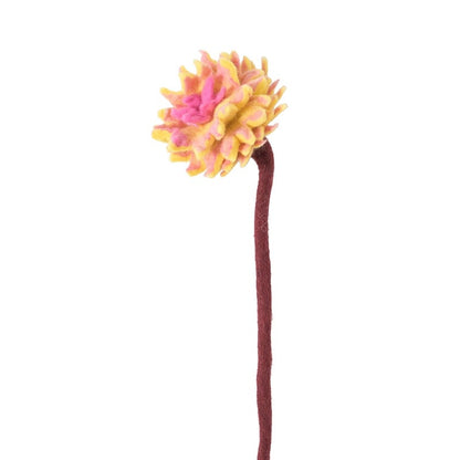 Dahlia