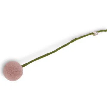 Fleur boule (moyenne)