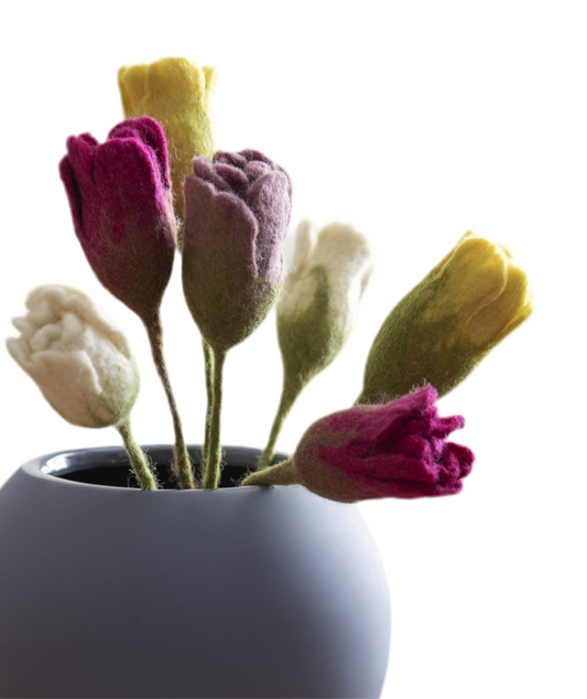 Tulipe