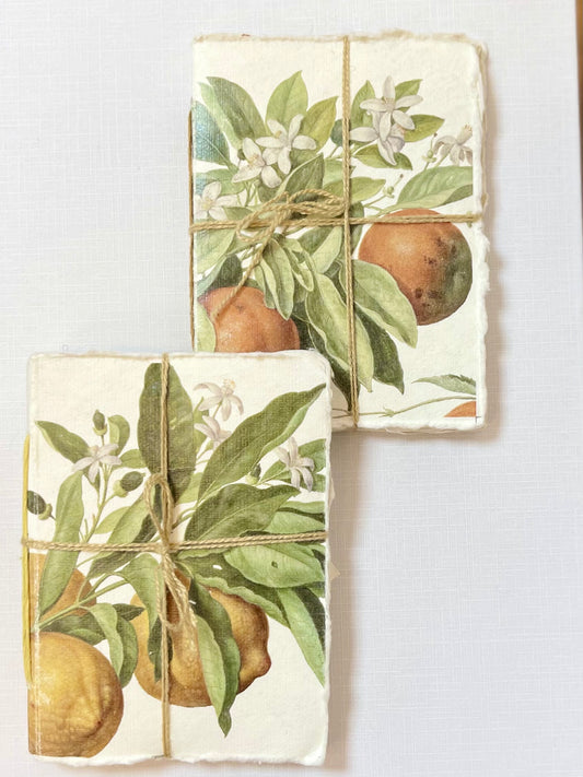 Mini carnet parchemin - agrumes