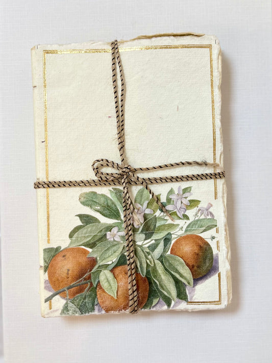 Carnet parchemin - oranges