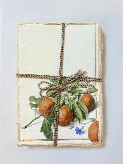 Carnet parchemin - oranges
