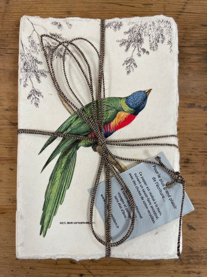 Carnet parchemin - oiseaux des tropiques