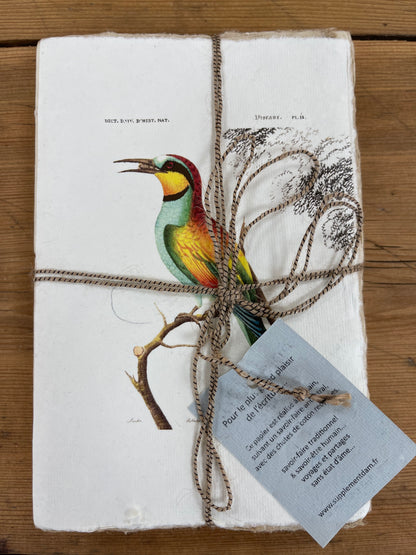 Carnet parchemin - oiseaux des tropiques