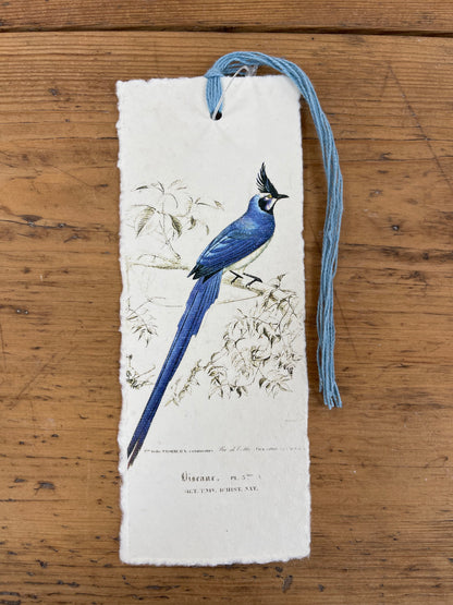 Marque-page - oiseaux des tropiques