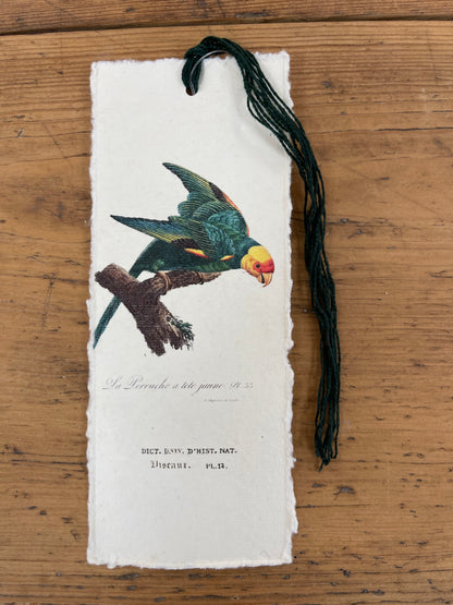 Marque-page - oiseaux des tropiques