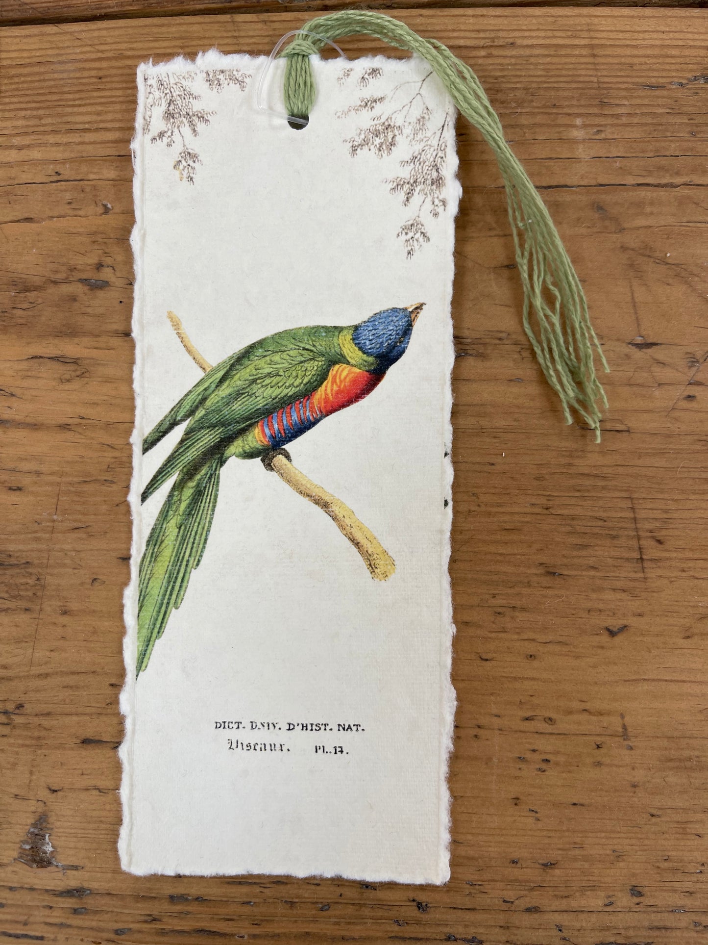 Marque-page - oiseaux des tropiques