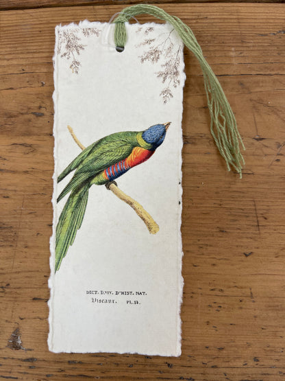Marque-page - oiseaux des tropiques
