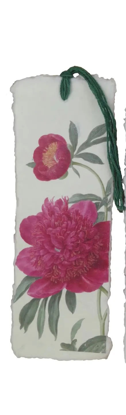 Marque-page - pivoines