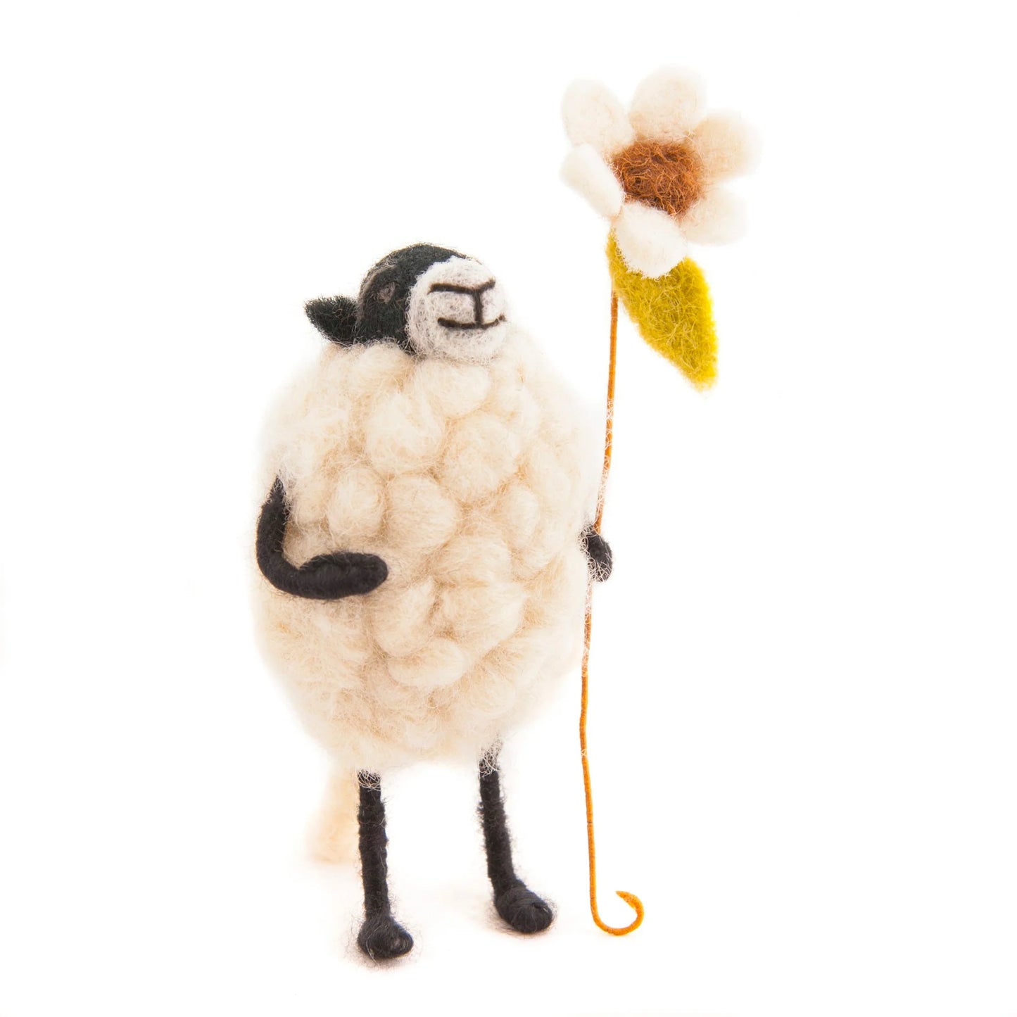 Mouton fleur